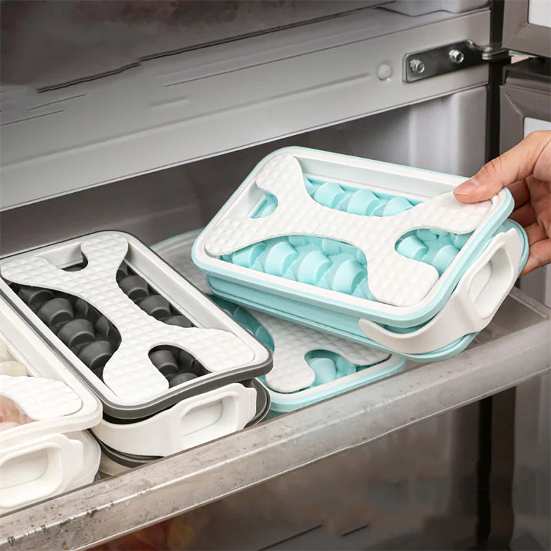 2-in-1 Ice Bottle